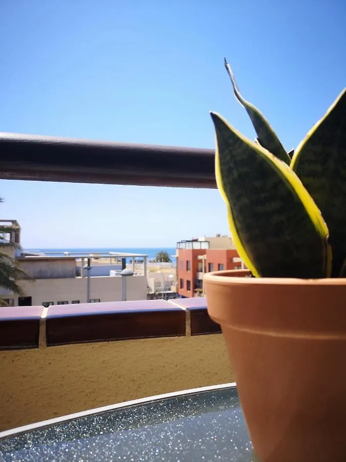 Casa Arida, Morro Jable公寓 0*, 莫罗德哈布雷 西班牙